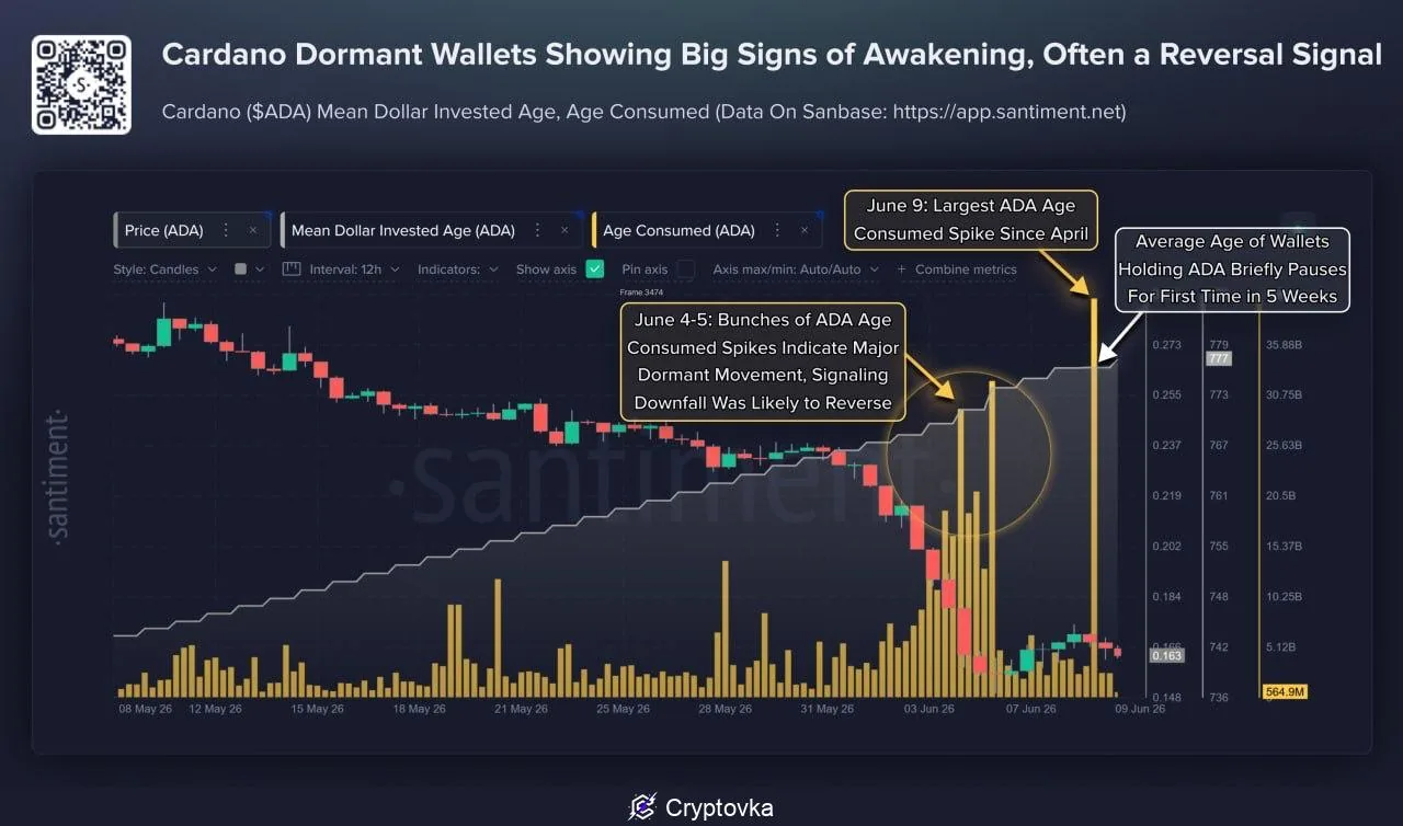 ADA: почему спящие кошельки Cardano могут сигнализировать о восстановлении цены